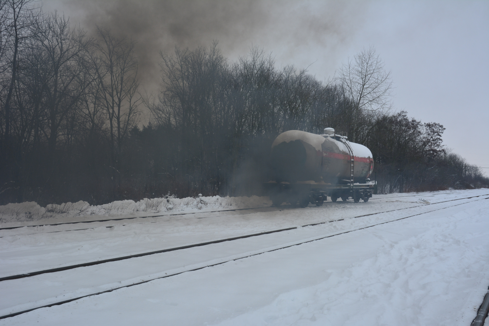DSC_0243.JPG