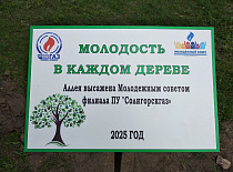 "Молодость в каждом дереве"